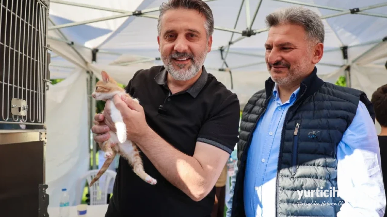 Bursa Büyükşehir Belediyesi'nden Can Dostlar İçin Örnek Yuva Seferberliği - Detay Görsel 1