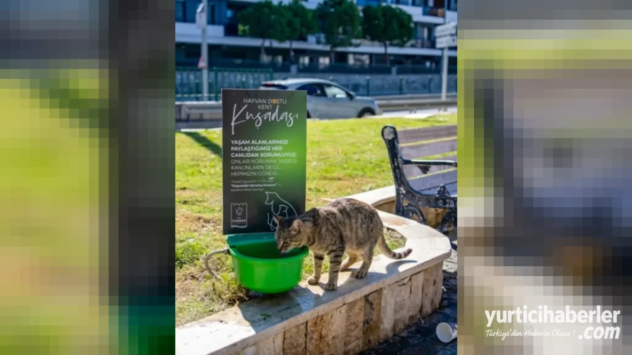Kuşadası Belediyesi’nden Hayvan Dostu Kent Vurgusu ve Can Dostlara Destek