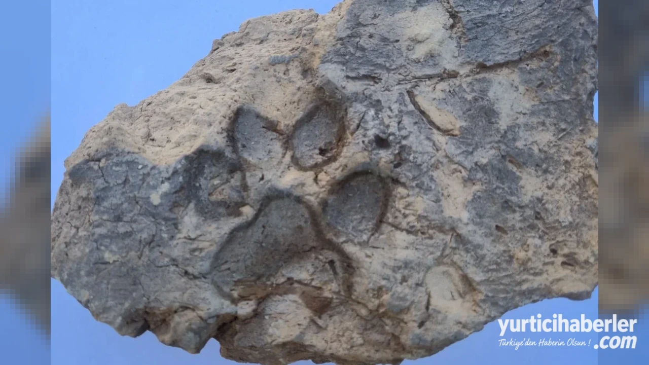 Kütahya Tavşanlı Höyük te Dört Bin Yıllık Kerpiç Üzerinde Köpek Pati İzi Bulundu