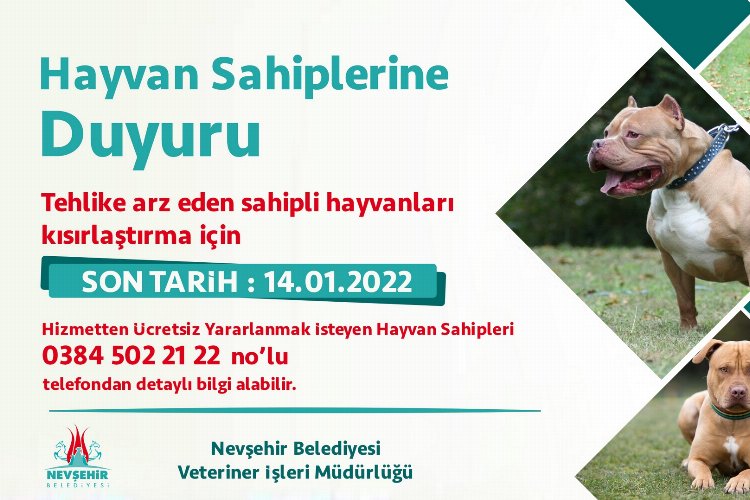Nevşehir’de yasaklı ırk köpekler ücretsiz kısırlaştırılacak