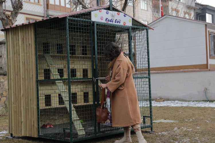 Sivas’ta kediler için ev yapıldı