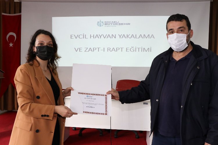 Kocaeli’nde sokak hayvanları için eğitim