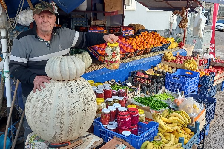 Bursa Mudanya’da 52 kilogramlık bal kabağı!