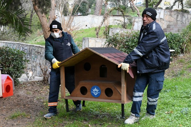 İzmir Karabağlar’da parklara kedi evleri yerleştiriliyor