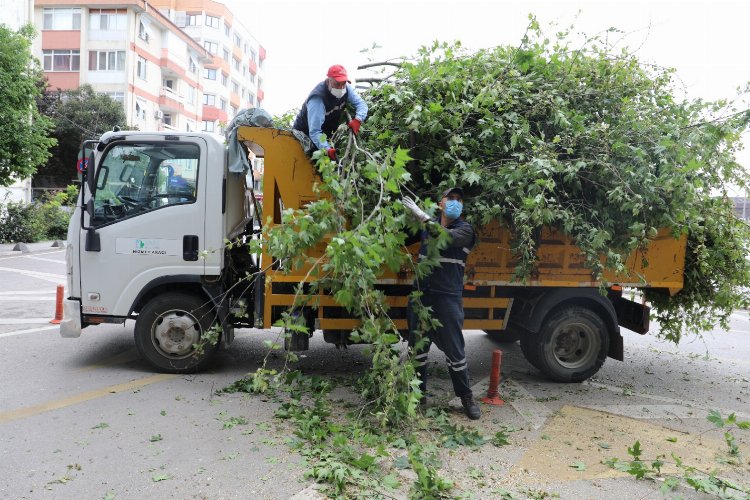 Kocaeli İzmit’te çocuklar meyveleri dalından yiyecek