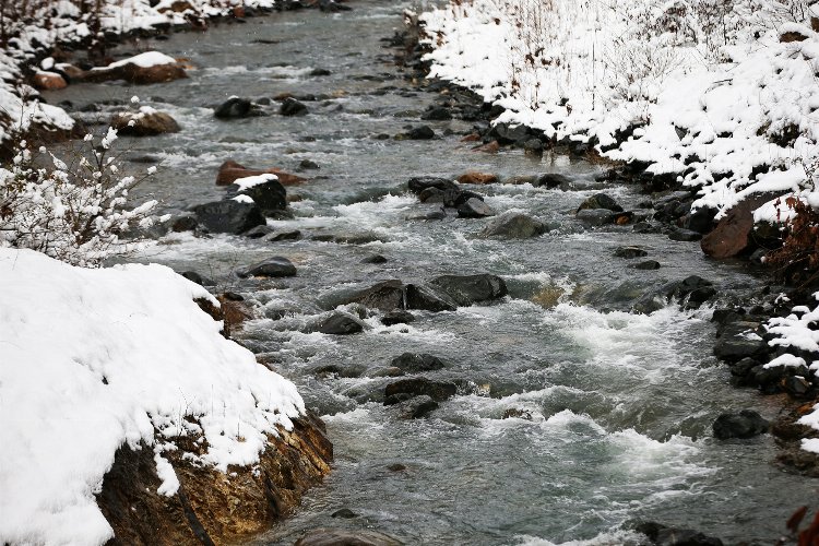Sakarya, Sapanca Gölü’nü geleceğe taşıyor