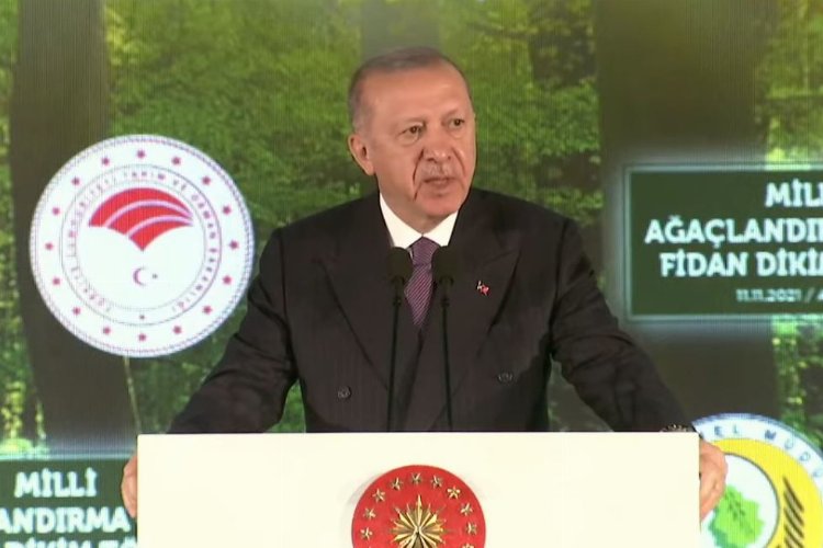 Erdoğan’dan ’81 İle 81 Millet Ormanı’ müjdesi