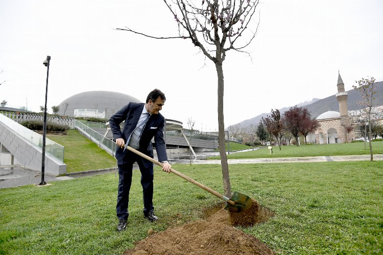 Bursa Osmangazi’de ağaçlandırma çalışması yapıldı