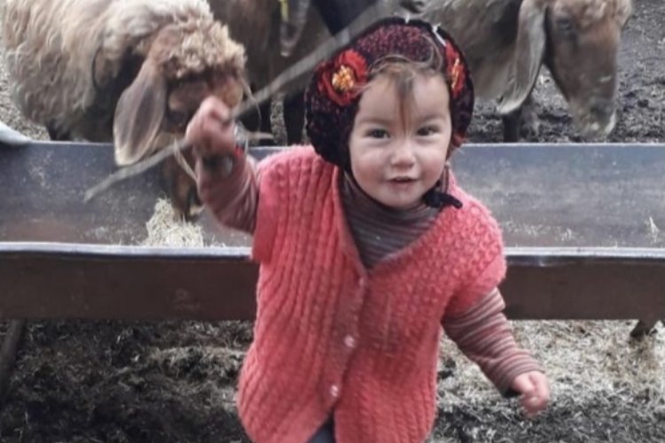 TDP’li Ceylan, Müslüme ile ilgili açıklama yaptı