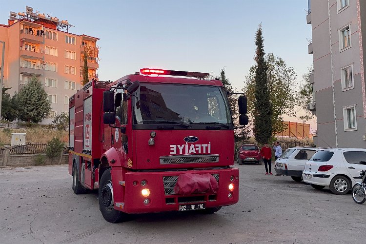 Adıyaman’da 3 kişi palmiye ağacını ateşe verdi