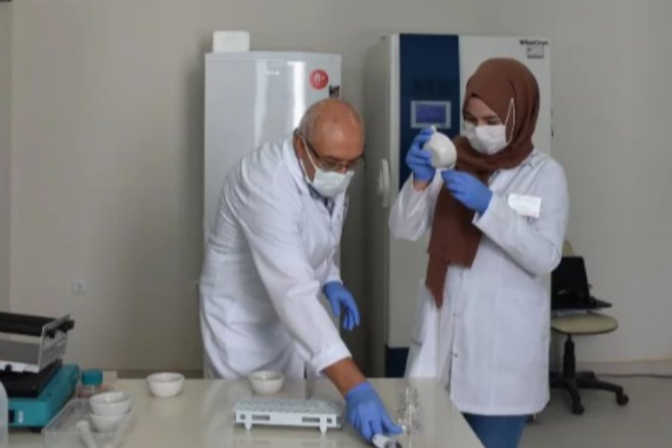 Niğde’de patatesin parmak izi çıkarılacak