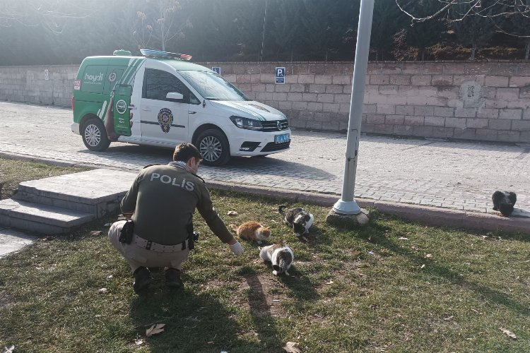 Aksaray’da polis sokak hayvanlarına mama dağıttı
