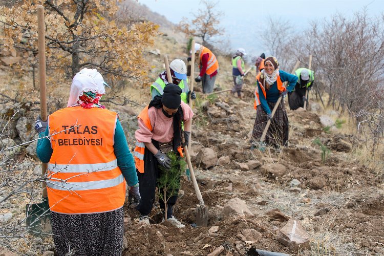 Kayseri Talas’tan ağaç seferberliği