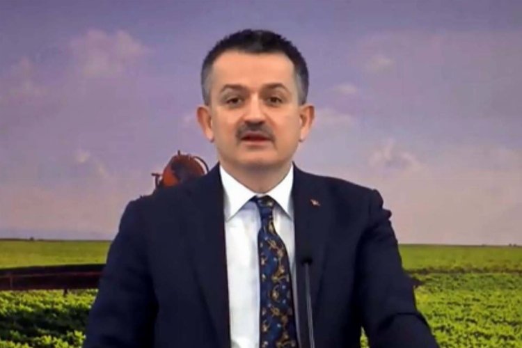 Bakan Pakdemirli: “İklim değişikliğine karşı mücadele eylemle yapılmalı”