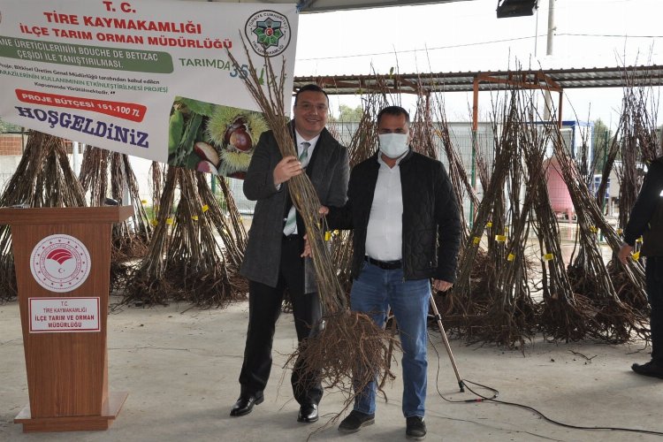 İzmir’de Tireli kestane üreticilerine, Bouche ve Betizac çeşidi tanıtıldı