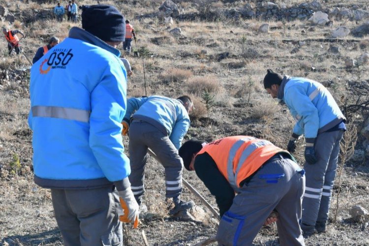Kayseri OSB’den fidan seferberliği