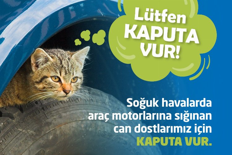 Bursa Kestel’de ‘kaputa vur’ uyarısı