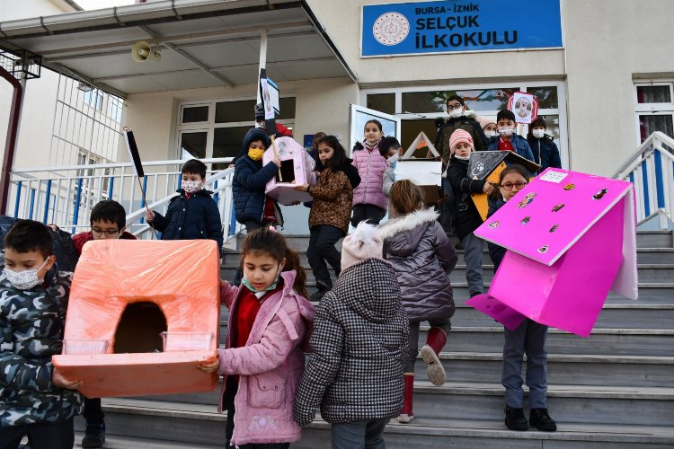 Bursa İznik’te öğrencilerden her okula kedi yuvası